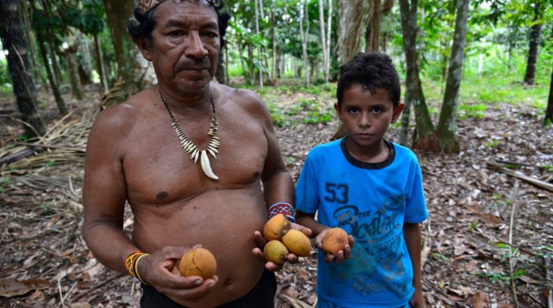 Em Lábrea, povo indígena Apurinã mantém a floresta em pé em meio ao desmatamento
