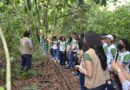 Escola públicas do Amazonas proporcionam à estudantes imersão sobre o futuro Bosque Ambiental do Ipaam