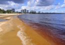 Prefeitura de Manaus orienta banhistas para cuidados com cheia e estreitamento da faixa de areia