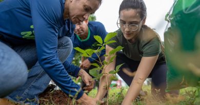 Nova Acrópole celebra o Dia da Terra com ações voluntárias