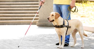 Dia do Cão-Guia será celebrado em 24 de abril