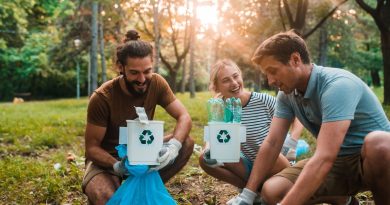 Educação ambiental é integrada à formação de cidadãos