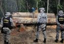 Força Nacional mobilizada para combater crimes ambientais no Amazonas