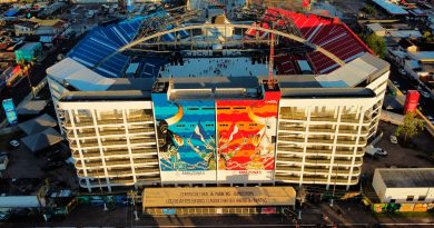 Justiça suspende venda de ingressos do Festival de Parintins 2026 após denúncia de aumento abusivo