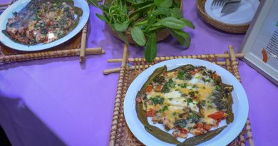 Pirarucu e banana pacovã levam merenda escolar de Manaus ao topo de concurso nacional