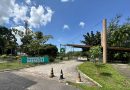 Banzerê no Mindu une música, memória e floresta urbana